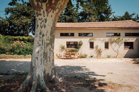 Le gîte et son platane