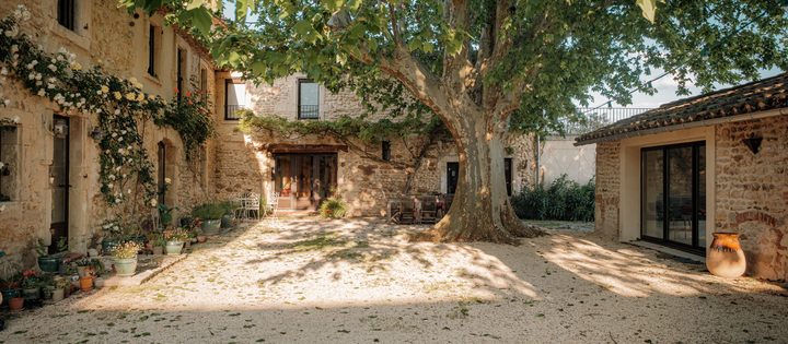 La cour et son platane, entre la maison et le gîte